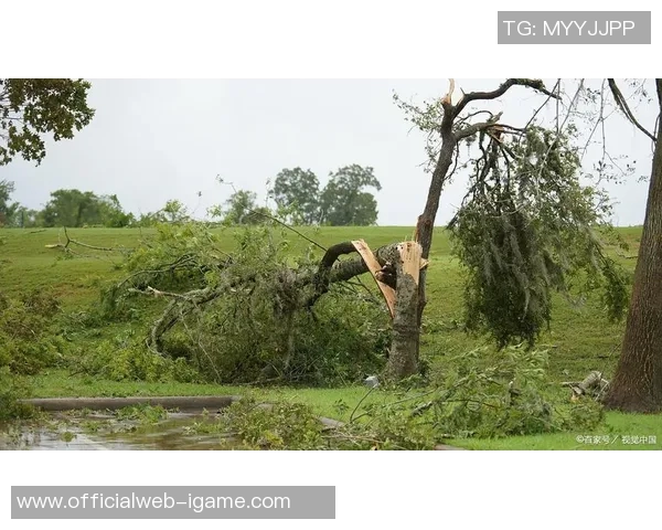 飓风来袭青年人如何应对自然灾害与生活挑战的智慧与勇气